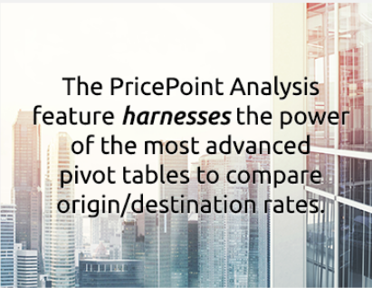 PricePoint Analysis feature harnesses the power of the most advanced pivot tables to compare origin/destination rates